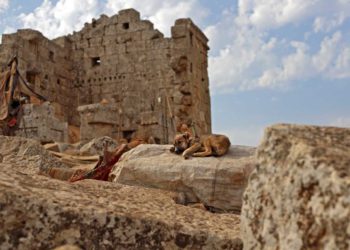 Refugiados sirios acampan en las ruinas de antiguo templo romano