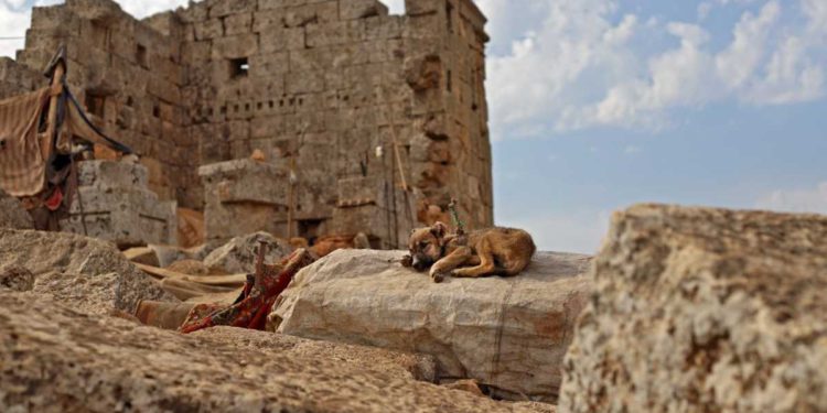 Refugiados sirios acampan en las ruinas de antiguo templo romano