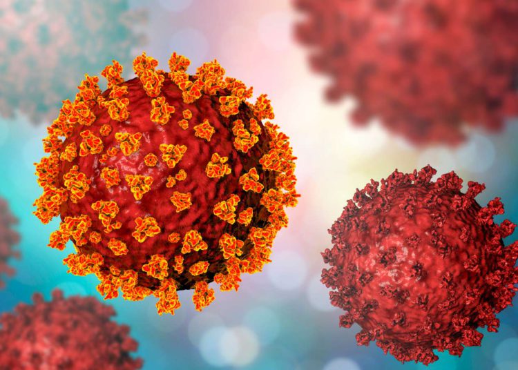 ¿De dónde surgió la variante Delta del coronavirus?