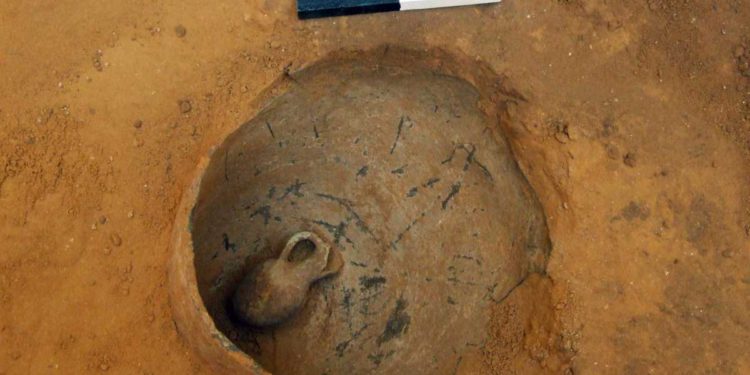 Hallan en Israel restos de 3.800 años de antigüedad de un bebé dentro de un jarrón