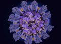Reino Unido: Nueva cepa del virus se propaga más rápido