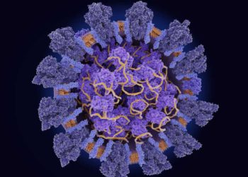Reino Unido: Nueva cepa del virus se propaga más rápido