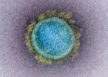 Se encontró una variante del virus chino en Israel