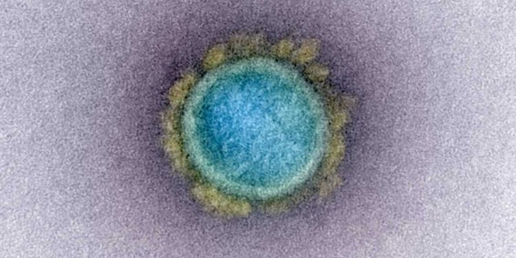 Se encontró una variante del virus chino en Israel