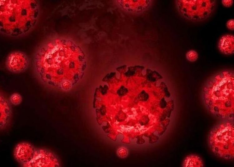 Reino Unido alerta de la “increíblemente preocupante” variante sudafricana del virus