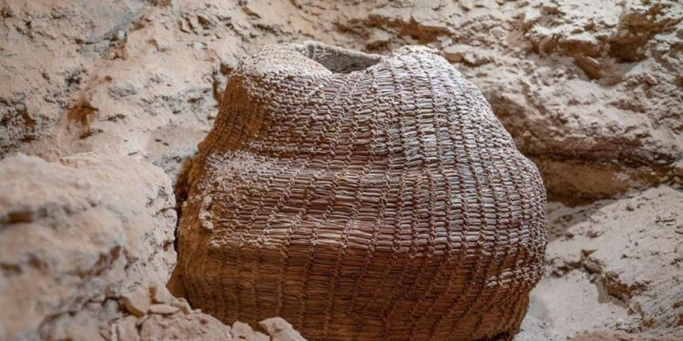 Cesta tejida más antigua del mundo encontrada en Israel: 10.000 años de antigüedad