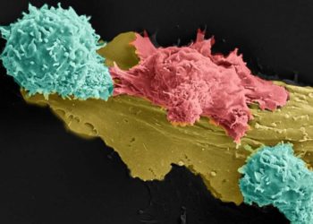 Technion de Israel descubre mecanismo del cuerpo humano que evita falsas respuestas inmunitarias