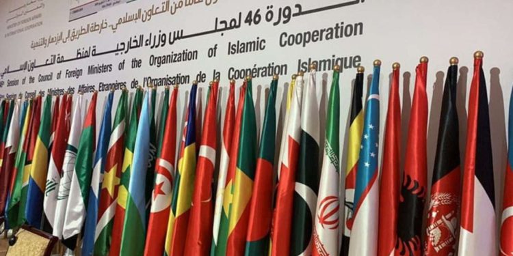 Organización de Cooperación Islámica condena a Israel