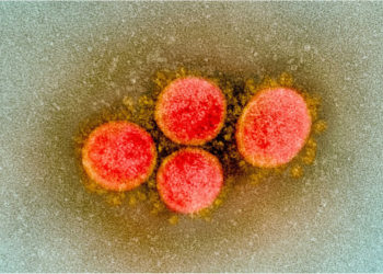 Variante indio-británica del virus chino es altamente contagiosa