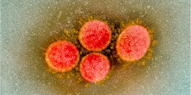 Variante indio-británica del virus chino es altamente contagiosa