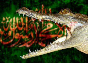 Es hora de dejar de alimentar al cocodrilo en Gaza