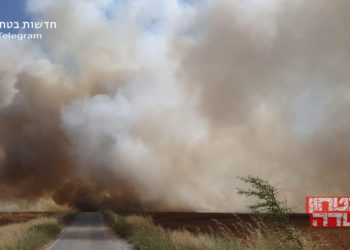 Globos incendiarios de Gaza provocan seis incendios en Israel