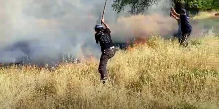 Árabes intentan incendiar la comunidad de Oz V'tzion