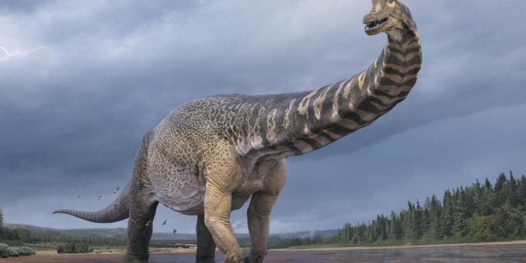 Identifican nueva especie de dinosaurio gigantesco en Australia