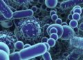 Científicos israelíes desarrollan método para combatir bacterias resistentes a los antibióticos
