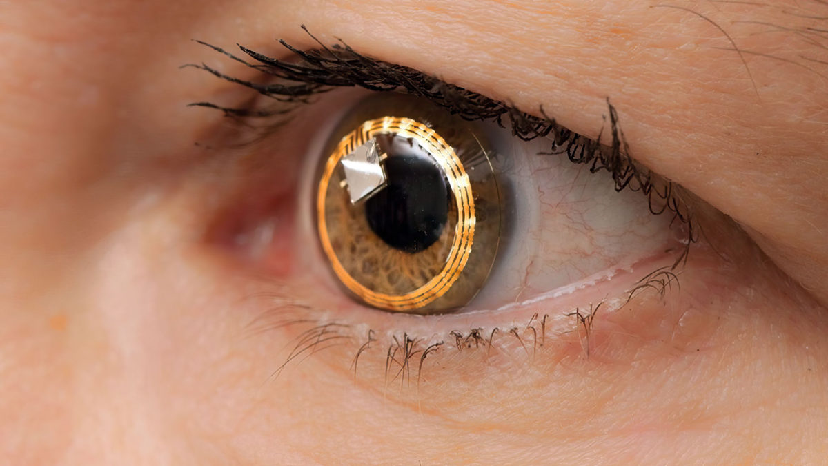 Biotecnología en Israel para devolver retina a los ciegos