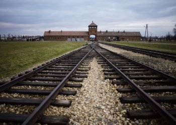 Polonia abre investigación sobre un cementerio masivo hallado cerca de Auschwitz