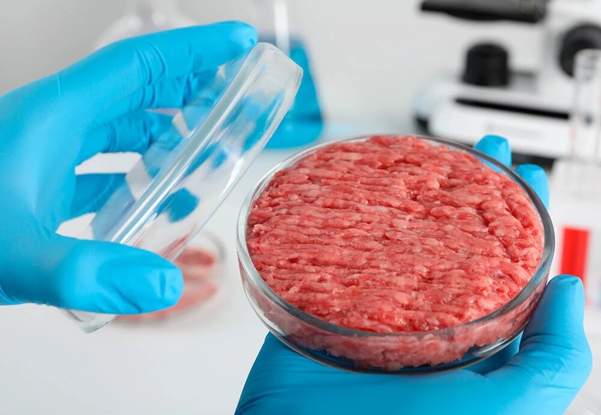 Empresa israelí abre la primera fábrica de carne cultivada del mundo