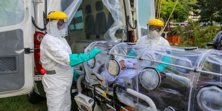 Los peligros del regreso de la gripe aviar