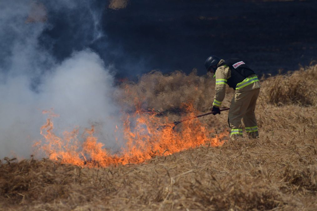 Incendios en el sur de Israel provocados por terrorismo incendiario de Gaza