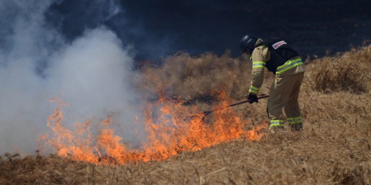 Incendios en el sur de Israel provocados por terrorismo incendiario de Gaza