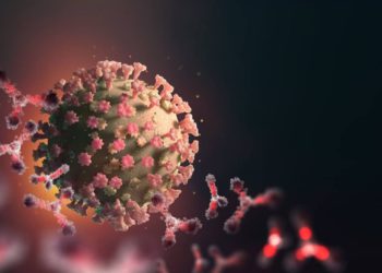 Nadie pagará por los crímenes contra la humanidad durante la pandemia de COVID