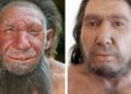 Humanos y neandertales coexistieron en el desierto del Néguev hace 50.000 años
