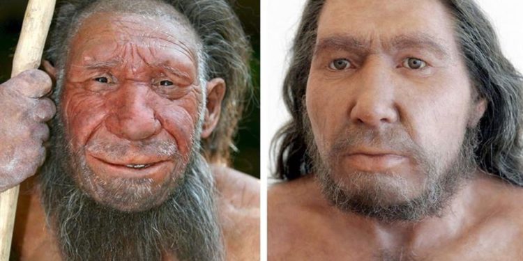 Humanos y neandertales coexistieron en el desierto del Néguev hace 50.000 años