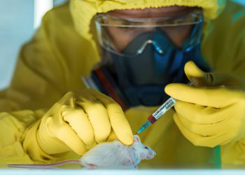 Científico de Wuhan infectó 'ratones humanizados' con coronavirus de murciélago en 2019