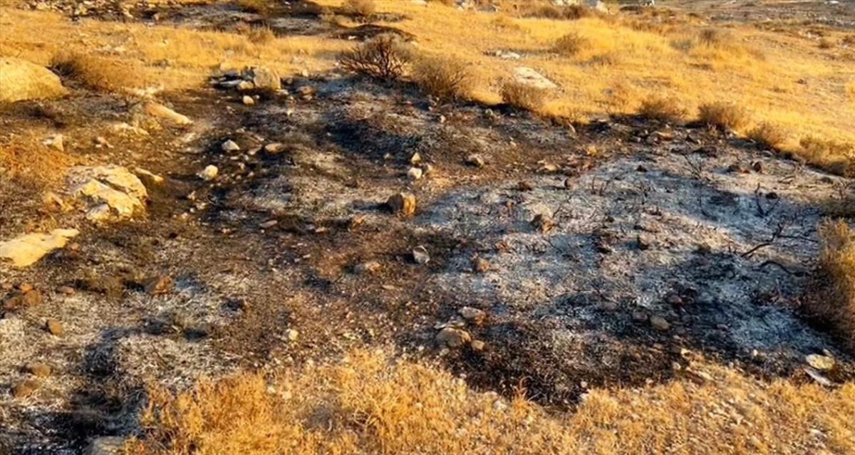 Activistas de B’Tselem detenidos por prender fuego cerca de Kiryat Arba