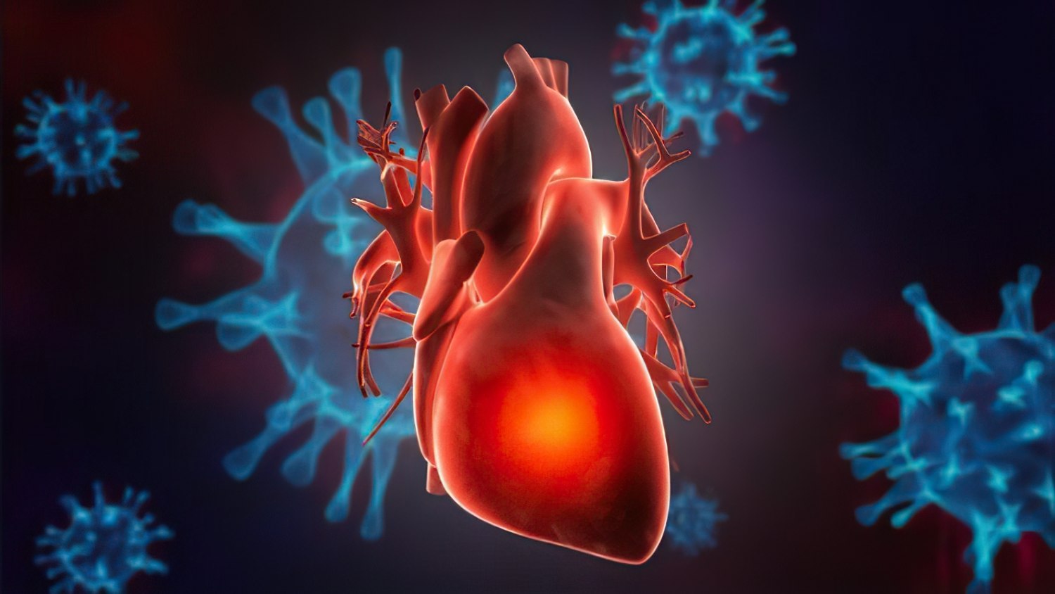 Влияние коронавируса. Covid 19 disease. Поражение сердечно-сосудистой системы. Сердце после коронавируса.
