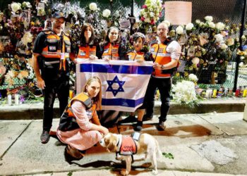 La experiencia israelí pone fin a la catástrofe de Surfside en cuestión de días
