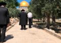 Jordania, Egipto y Turquía condenan la visita de judíos al Monte del Templo en Tisha Beav