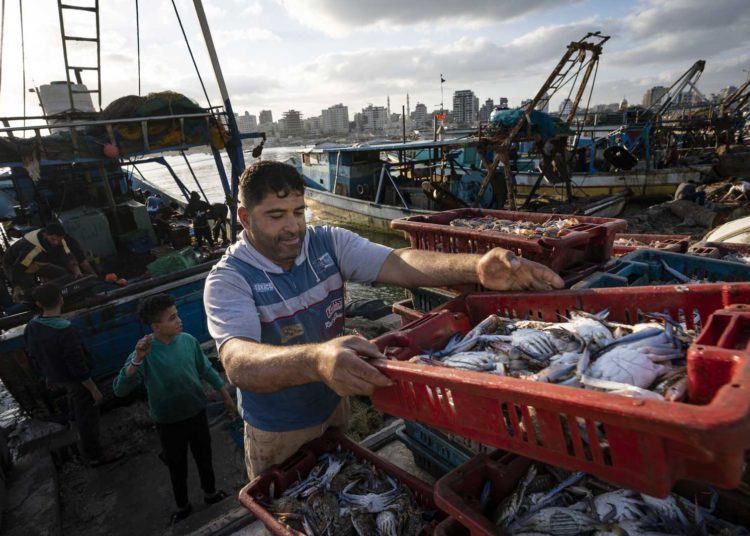 Israel extiende la zona de pesca de Gaza y permite el ingreso de exportaciones