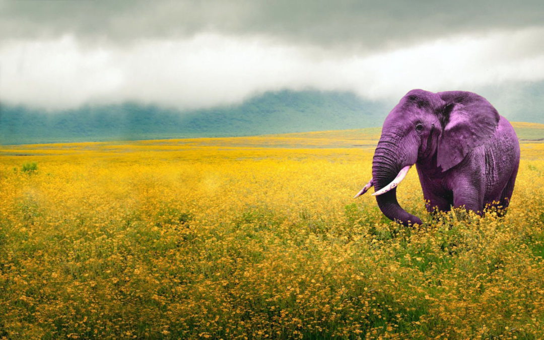 La lucha contra la Teoría Crítica de la Raza