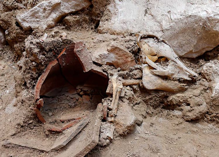Críptico esqueleto de cerdo de 2.700 años en la Ciudad de David