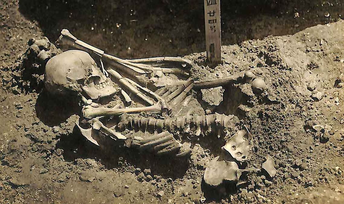 Un esqueleto parcial revela el ataque de tiburón más antiguo conocido en el mundo