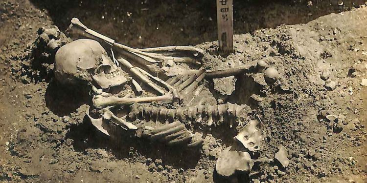 Un esqueleto parcial revela el ataque de tiburón más antiguo conocido en el mundo