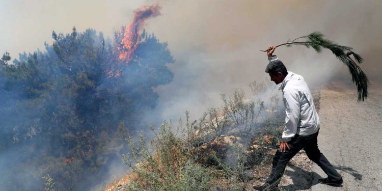 Líbano lucha por contener los incendios forestales mientras se extienden a Siria
