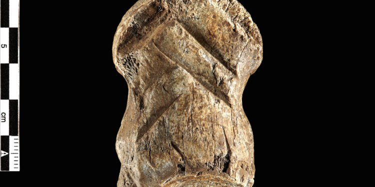 Los neandertales hirvieron y tallaron un hueso de ciervo hace 51.000 años