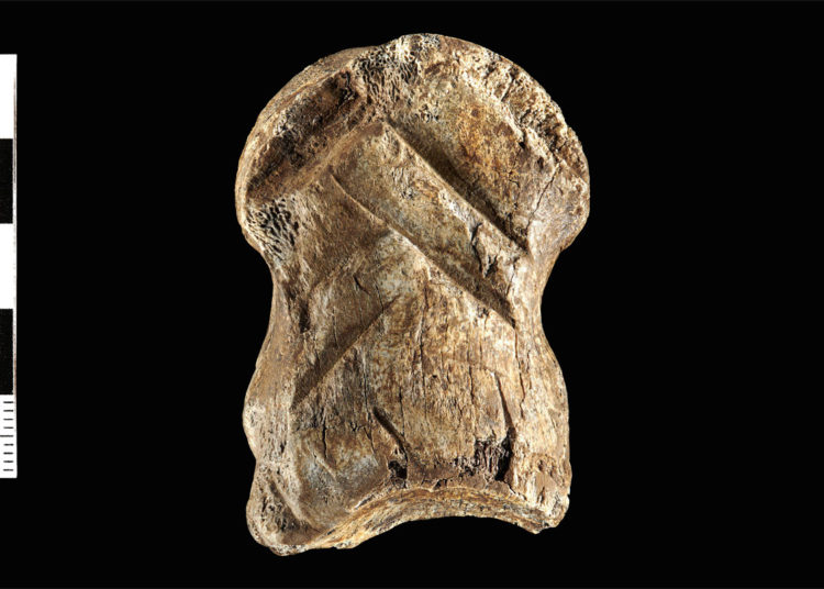 Los neandertales hirvieron y tallaron un hueso de ciervo hace 51.000 años