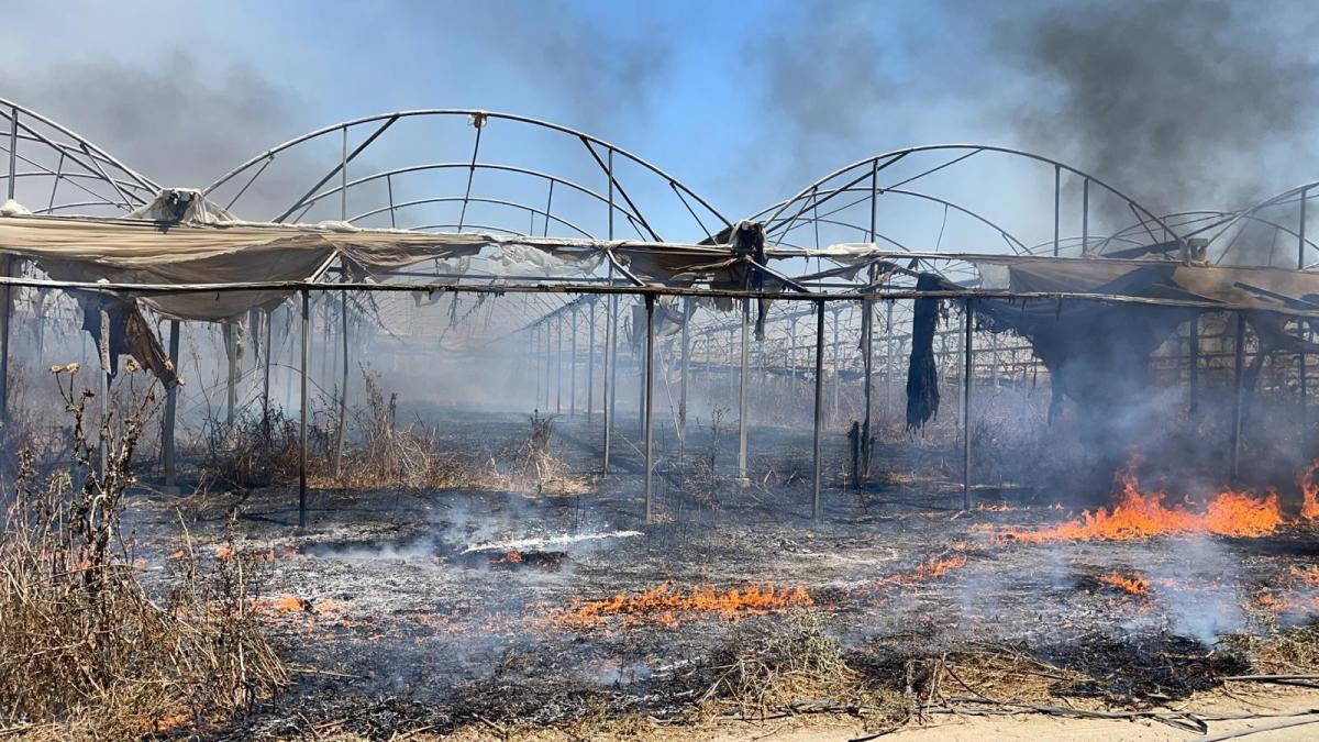 Globo incendiario de Gaza provoca un incendio en el sur de Israel