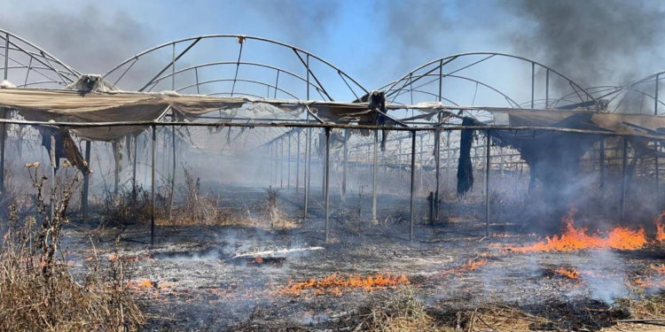 Un globo incendiario provoca un incendio en el sur de Israel