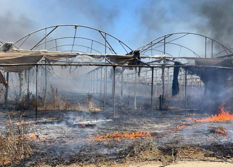 Un globo incendiario provoca un incendio en el sur de Israel