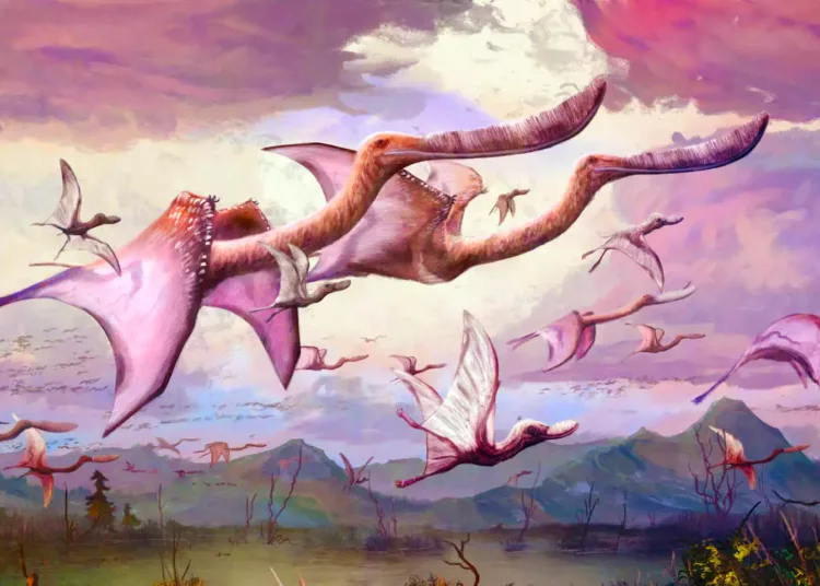 Un nuevo estudio sugiere que las crías de pterosaurio podían volar