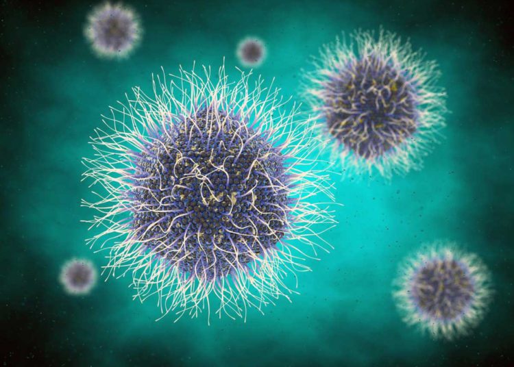 Los virus gigantes son células superiores degeneradas, según un nuevo estudio