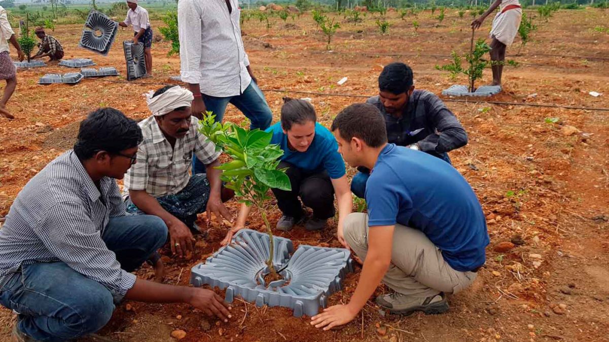 Agricultores israelíes cultivarán alimentos en Marruecos para satisfacer el aumento de la demanda mundial