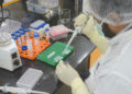 Científicos israelíes analizan los efectos a largo plazo de las vacunas de ARNm contra el COVID