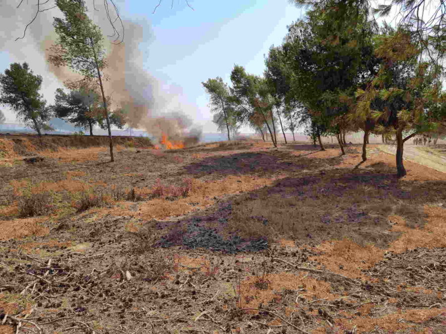 Grupos terroristas de Gaza lanzan globos incendiarios a Israel: 4 incendios reportados