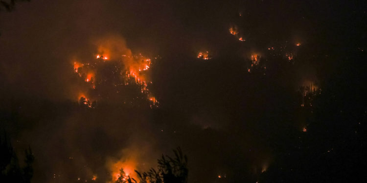 Incendio masivo en Jerusalén: Bomberos logran controlar las llamas